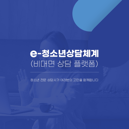 e-청소년상담체계